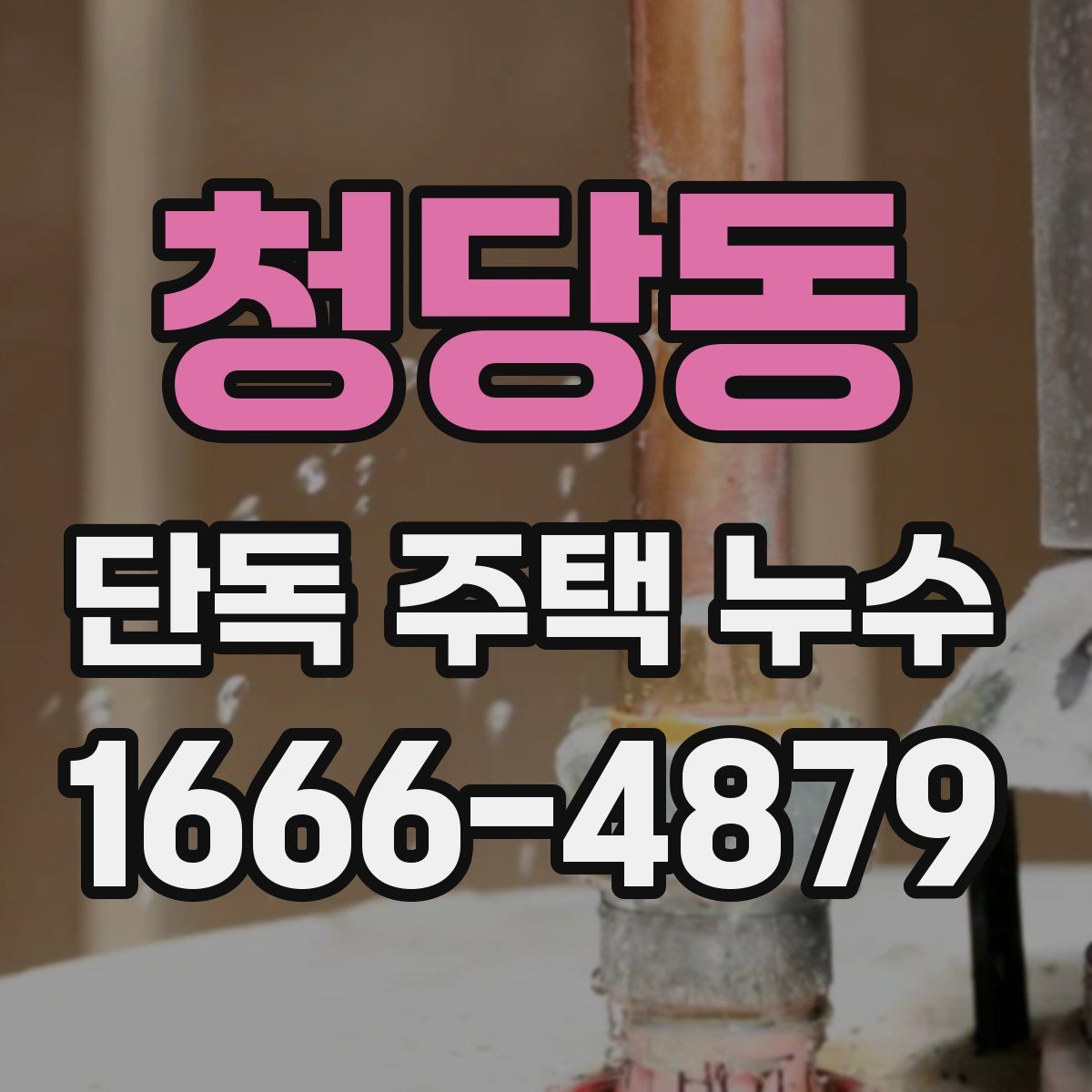 청당동 단독 주택 누수