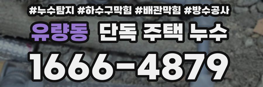 유량동 단독 주택 누수
