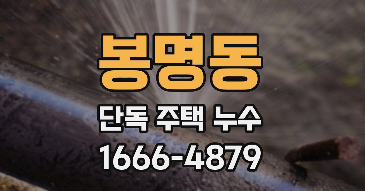봉명동 단독 주택 누수