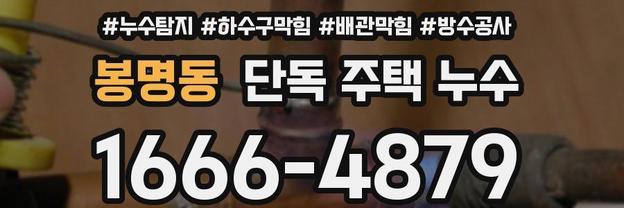 봉명동 단독 주택 누수
