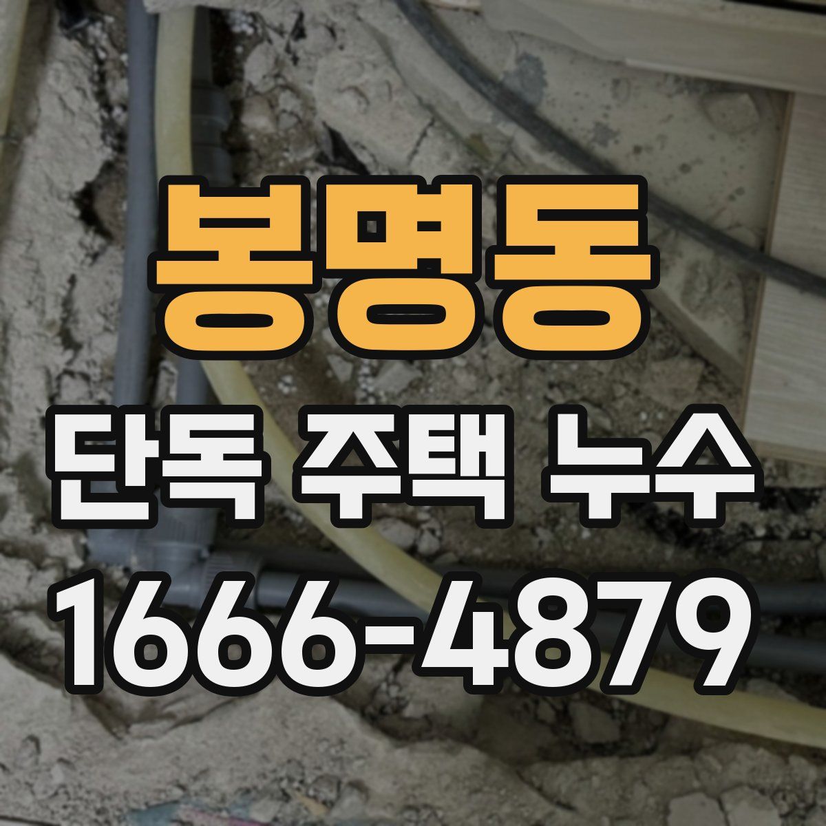 봉명동 단독 주택 누수
