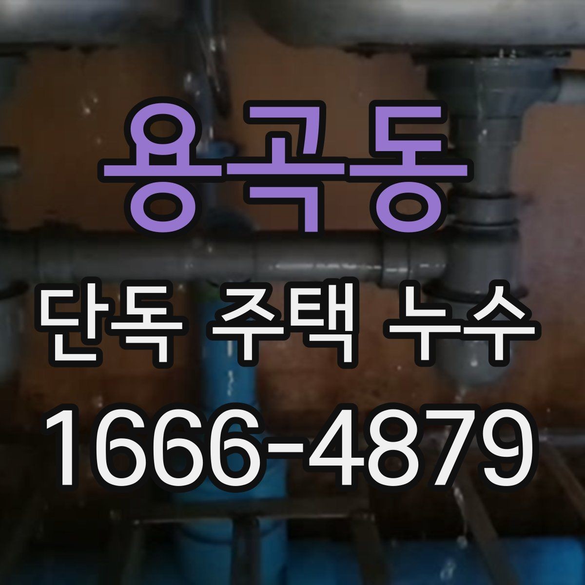 용곡동 단독 주택 누수 주변 지형과 배수 흐름 점검