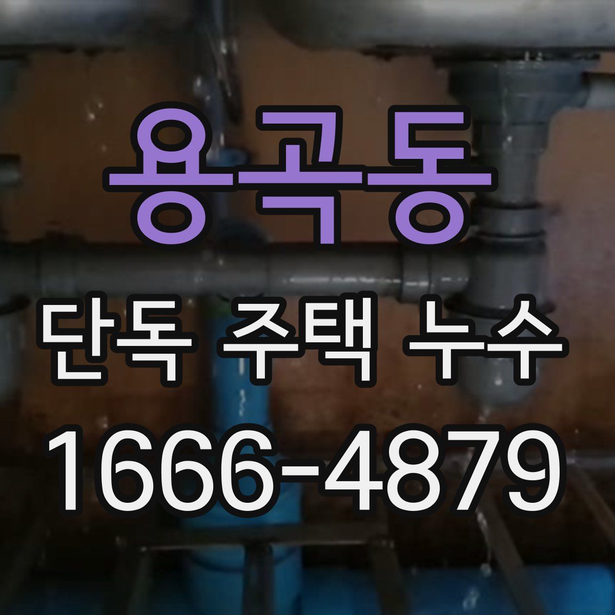 용곡동 단독 주택 누수