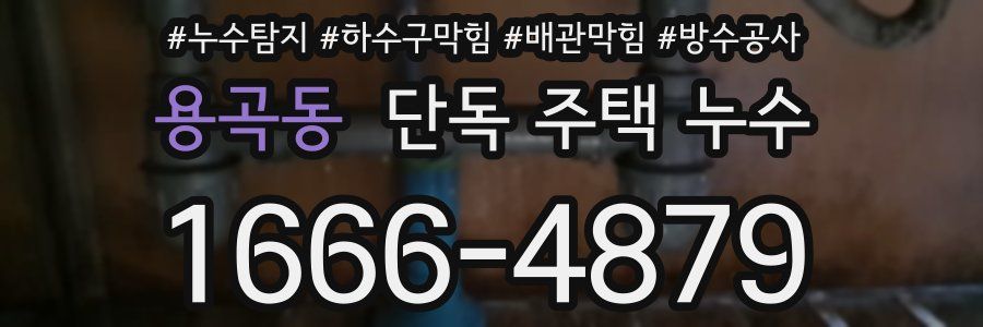 용곡동 단독 주택 누수