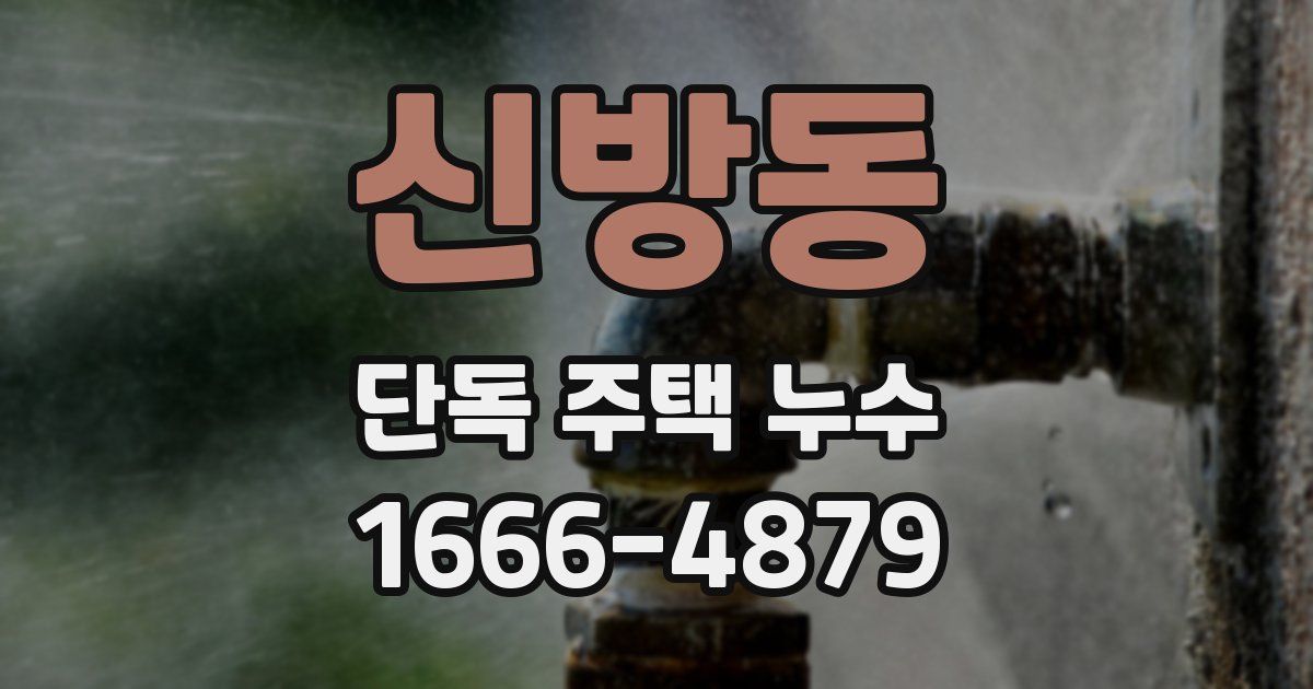 신방동 단독 주택 누수