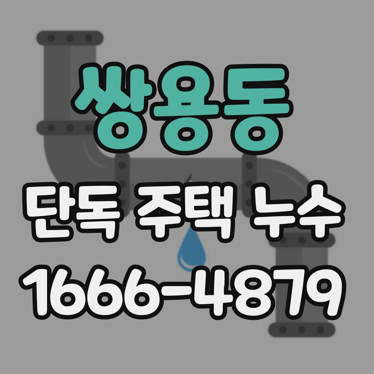 쌍용동 단독 주택 누수