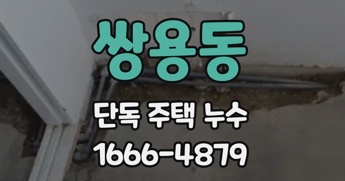 쌍용동 단독 주택 누수