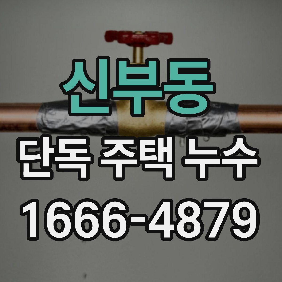 신부동 단독 주택 누수