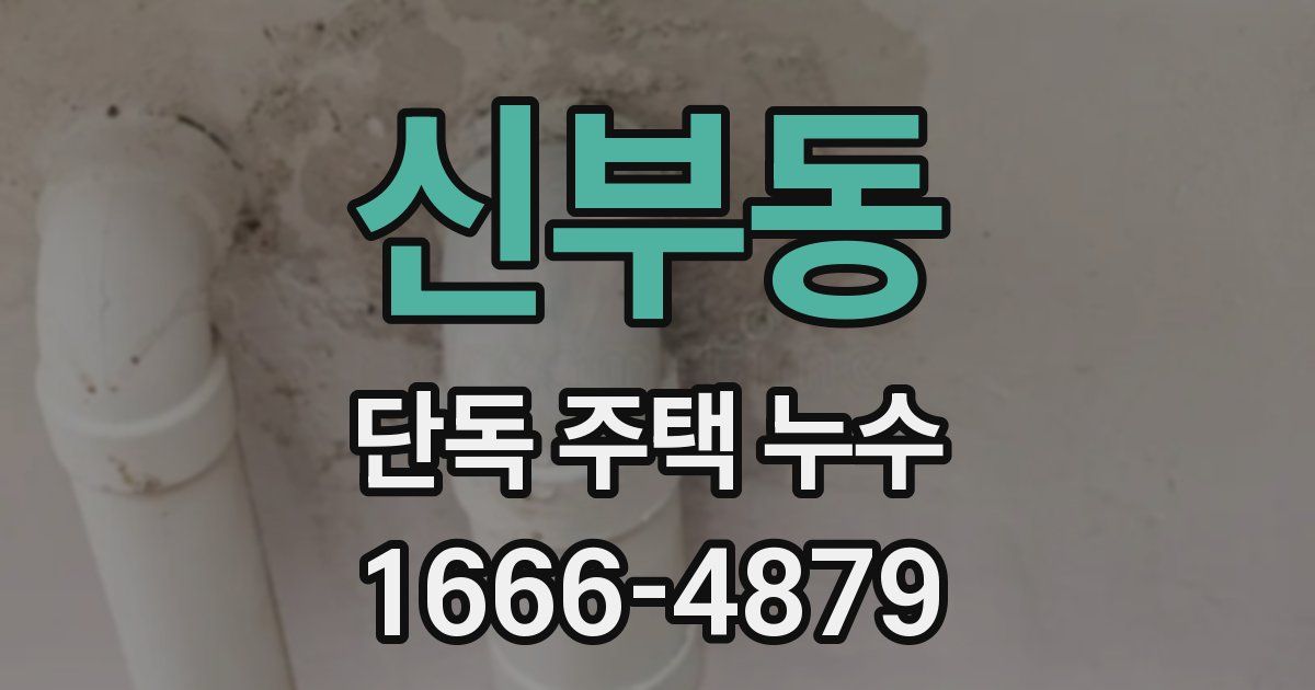 신부동 단독 주택 누수