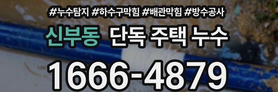 신부동 단독 주택 누수