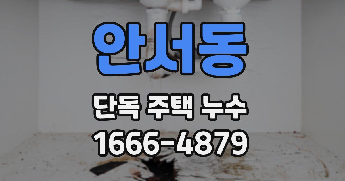 안서동 단독 주택 누수