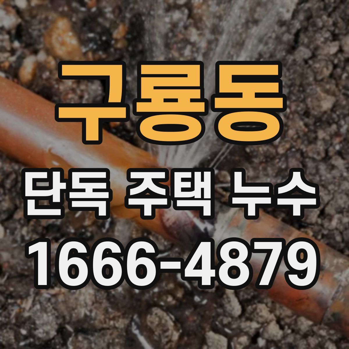 구룡동 단독 주택 누수