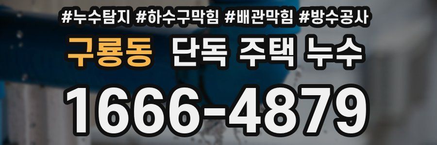 구룡동 단독 주택 누수