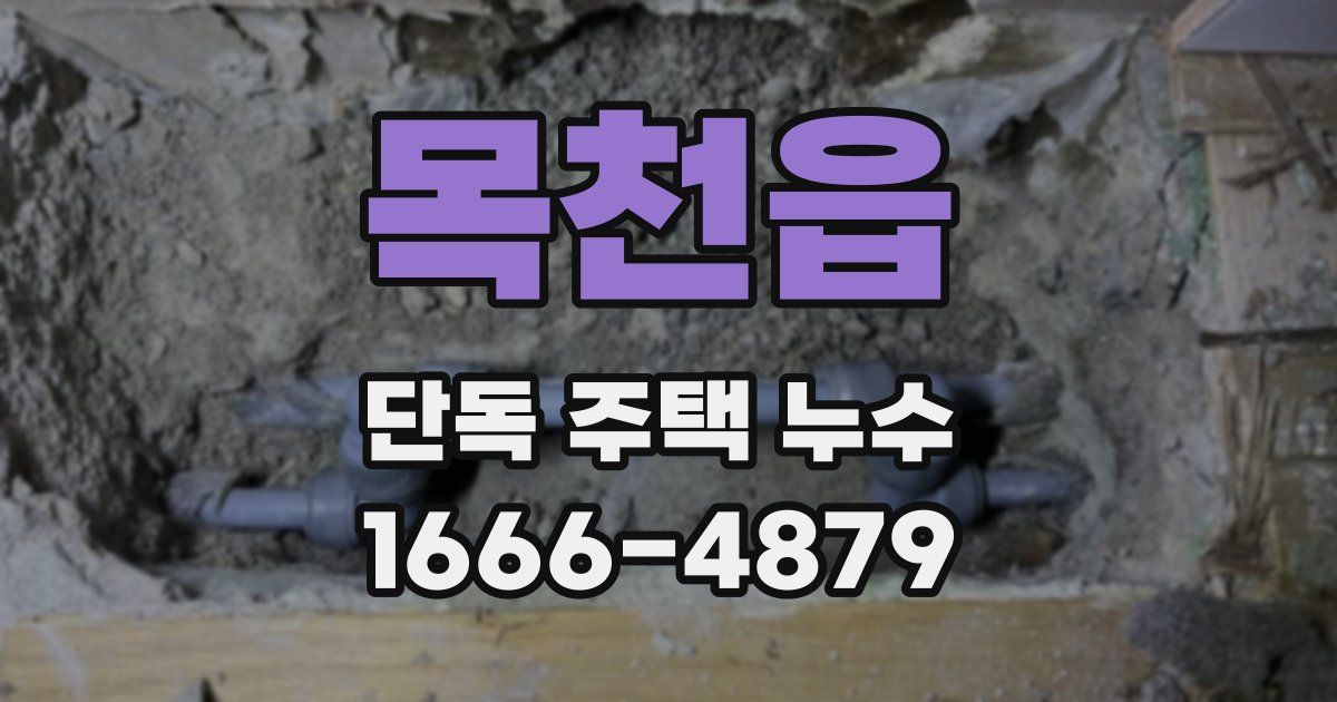 목천읍 단독 주택 누수