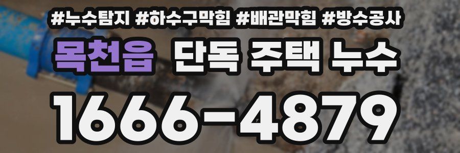 목천읍 단독 주택 누수