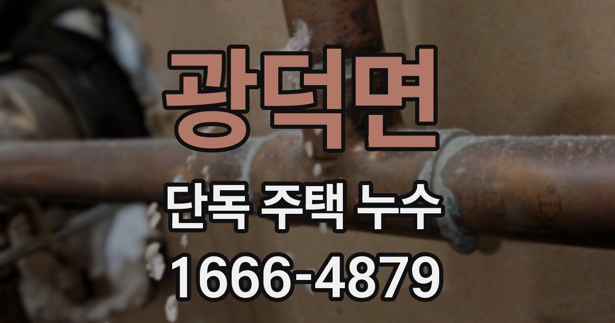 광덕면 단독 주택 누수