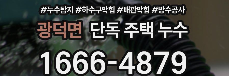 광덕면 단독 주택 누수