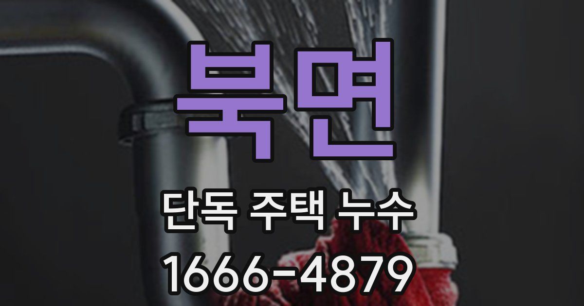 북면 단독 주택 누수