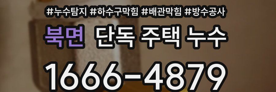 북면 단독 주택 누수