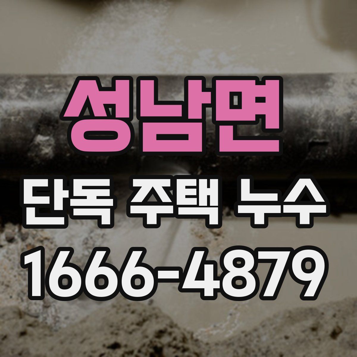 성남면 단독 주택 누수