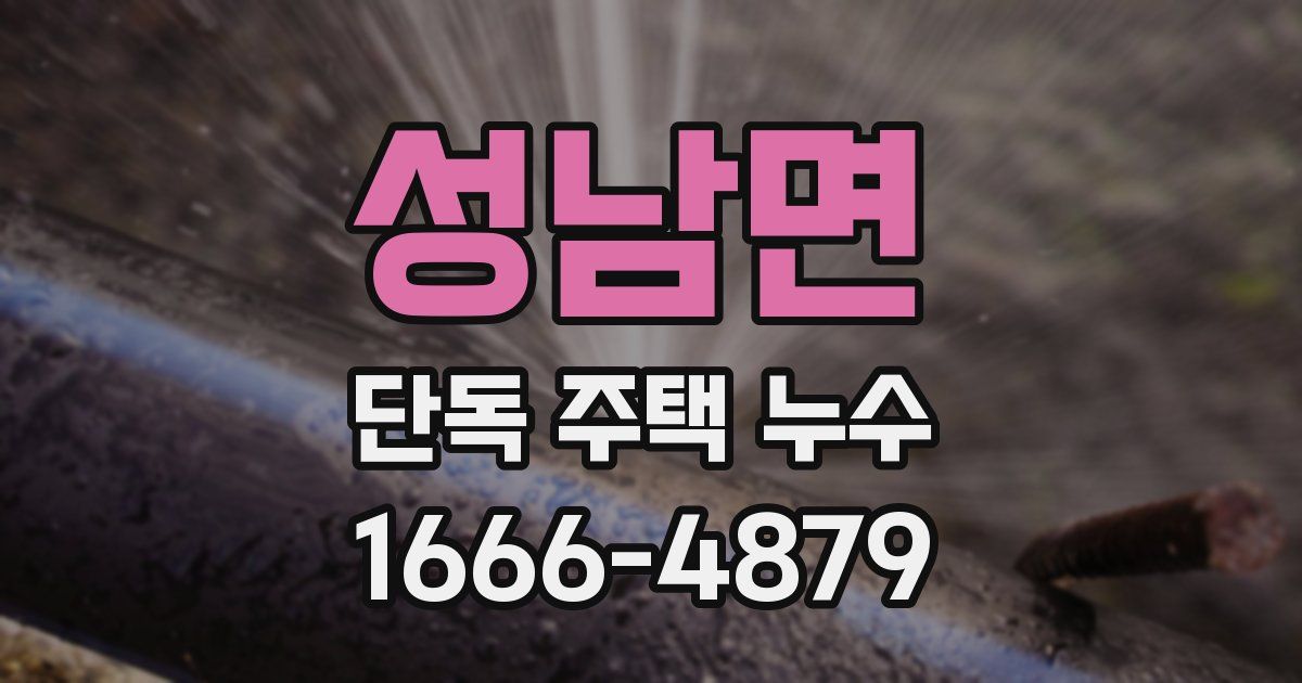 성남면 단독 주택 누수