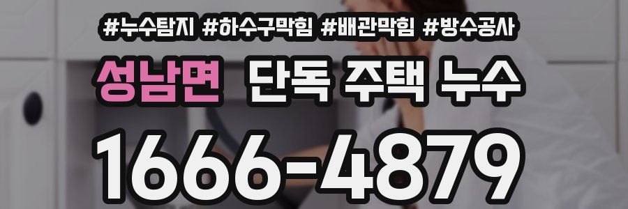 성남면 단독 주택 누수