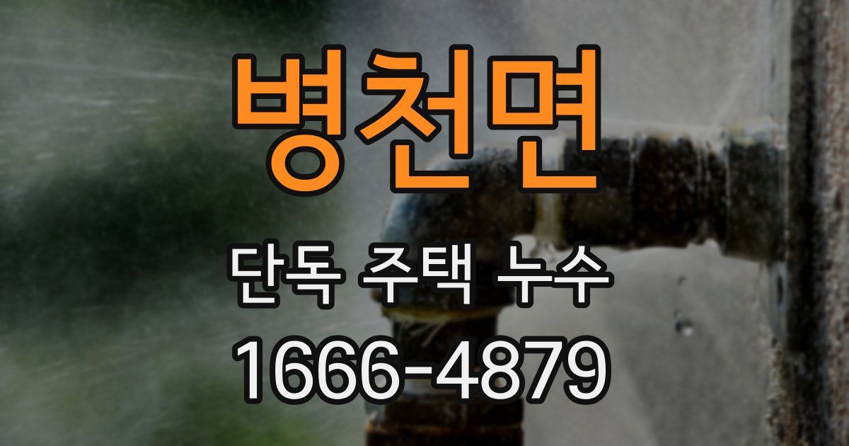 병천면 단독 주택 누수