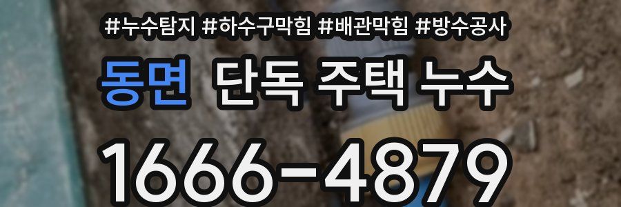 동면 단독 주택 누수