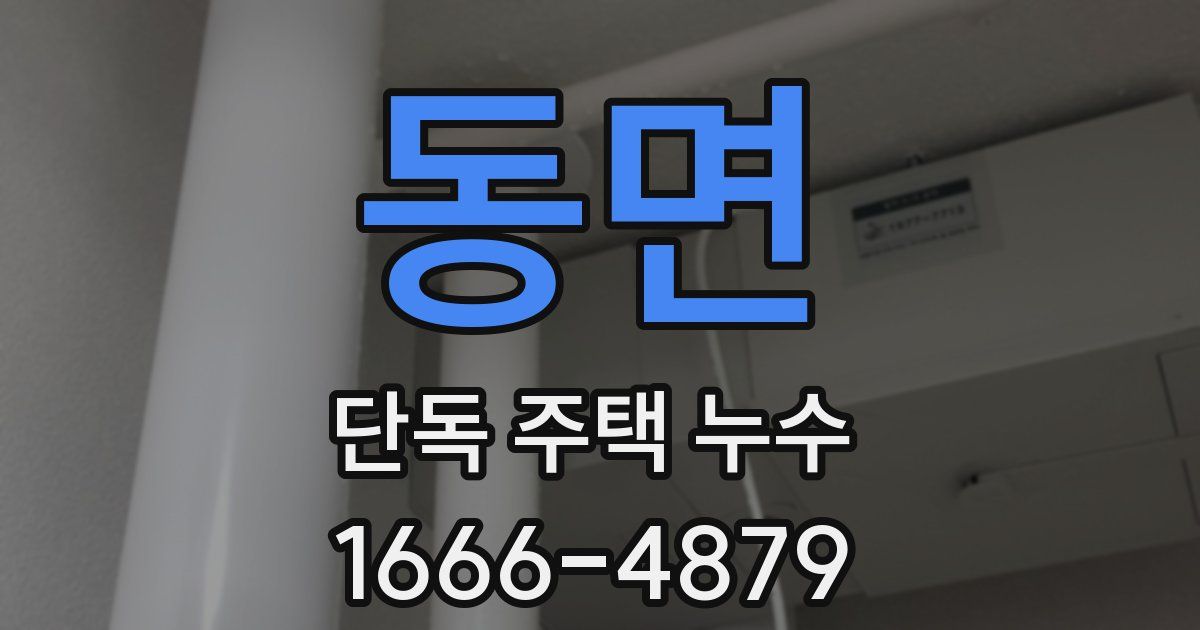 동면 단독 주택 누수