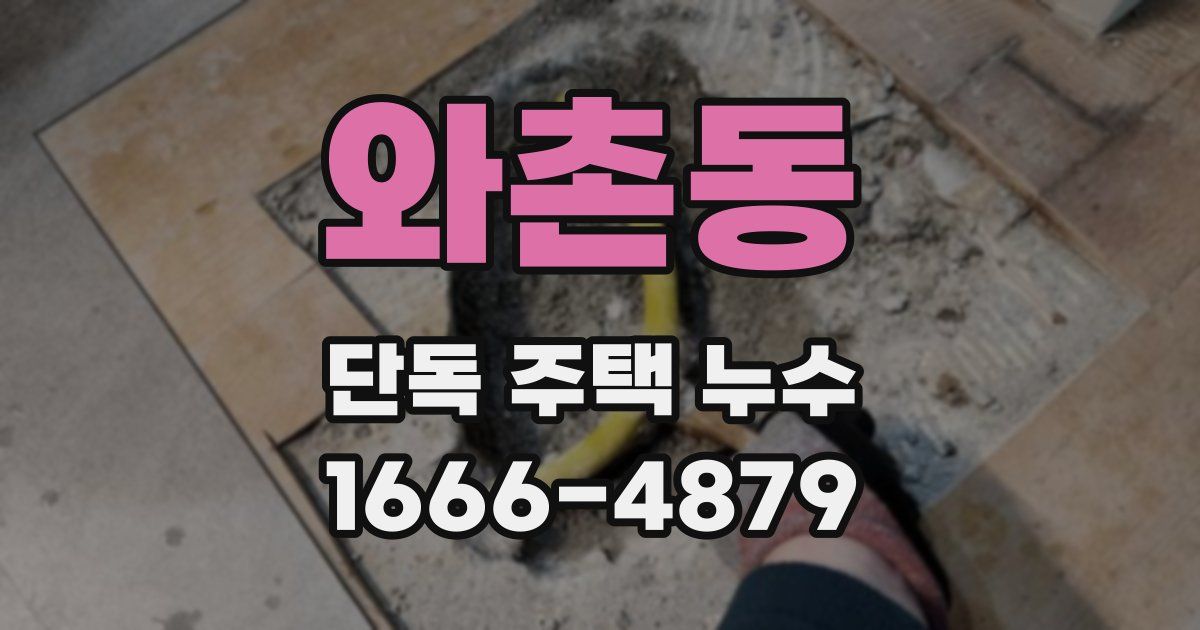 와촌동 단독 주택 누수