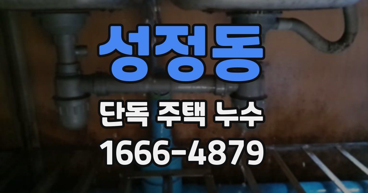 성정동 단독 주택 누수
