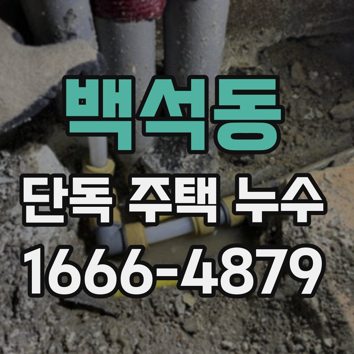 백석동 단독 주택 누수