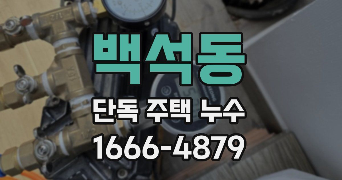백석동 단독 주택 누수