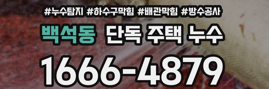 백석동 단독 주택 누수