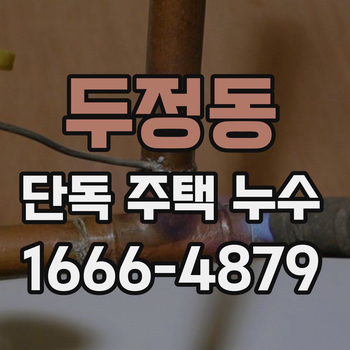 두정동 단독 주택 누수