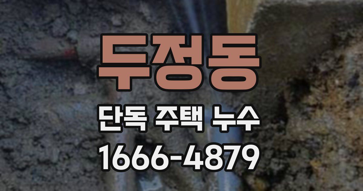 두정동 단독 주택 누수