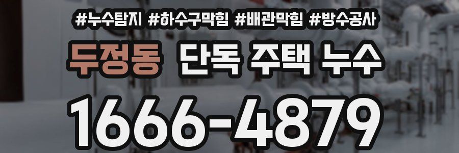 두정동 단독 주택 누수