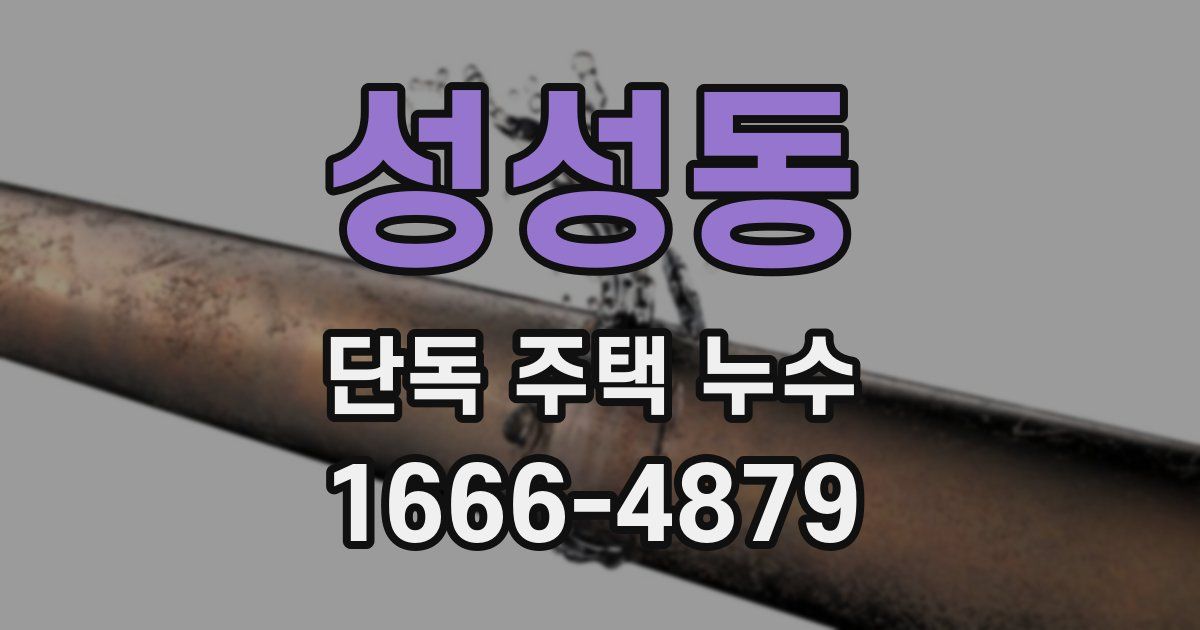 성성동 단독 주택 누수