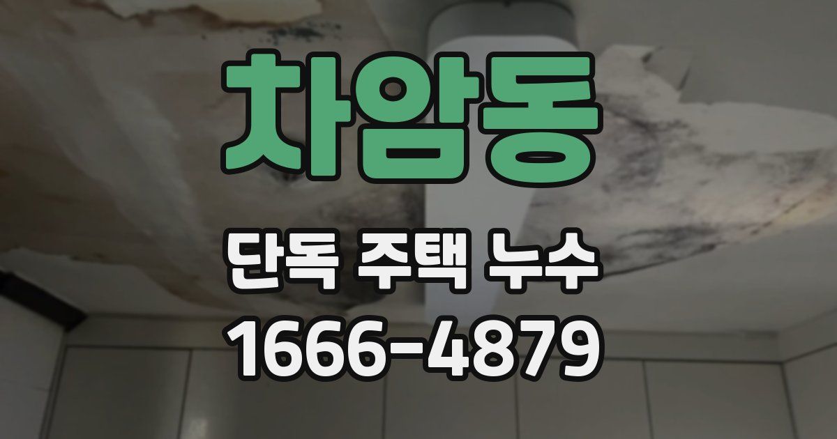 차암동 단독 주택 누수