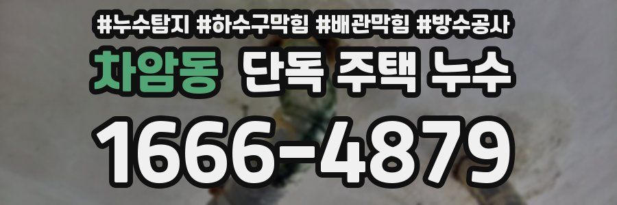 차암동 단독 주택 누수