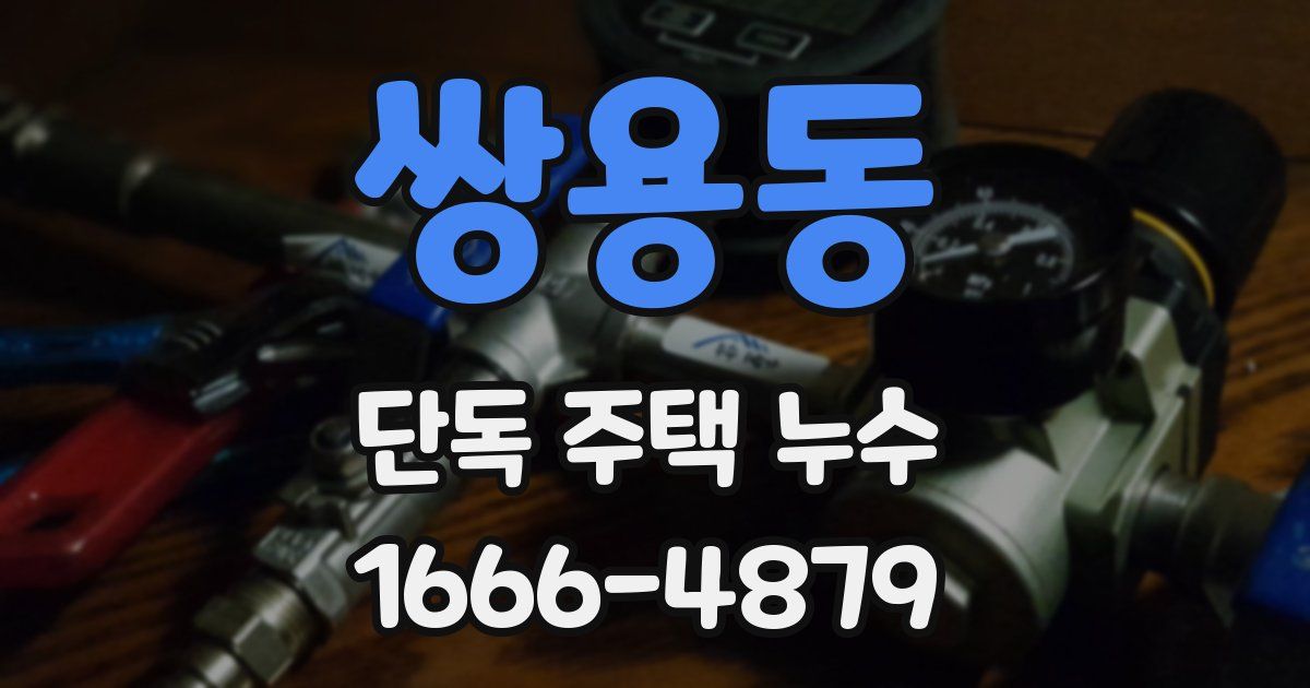 쌍용동 단독 주택 누수