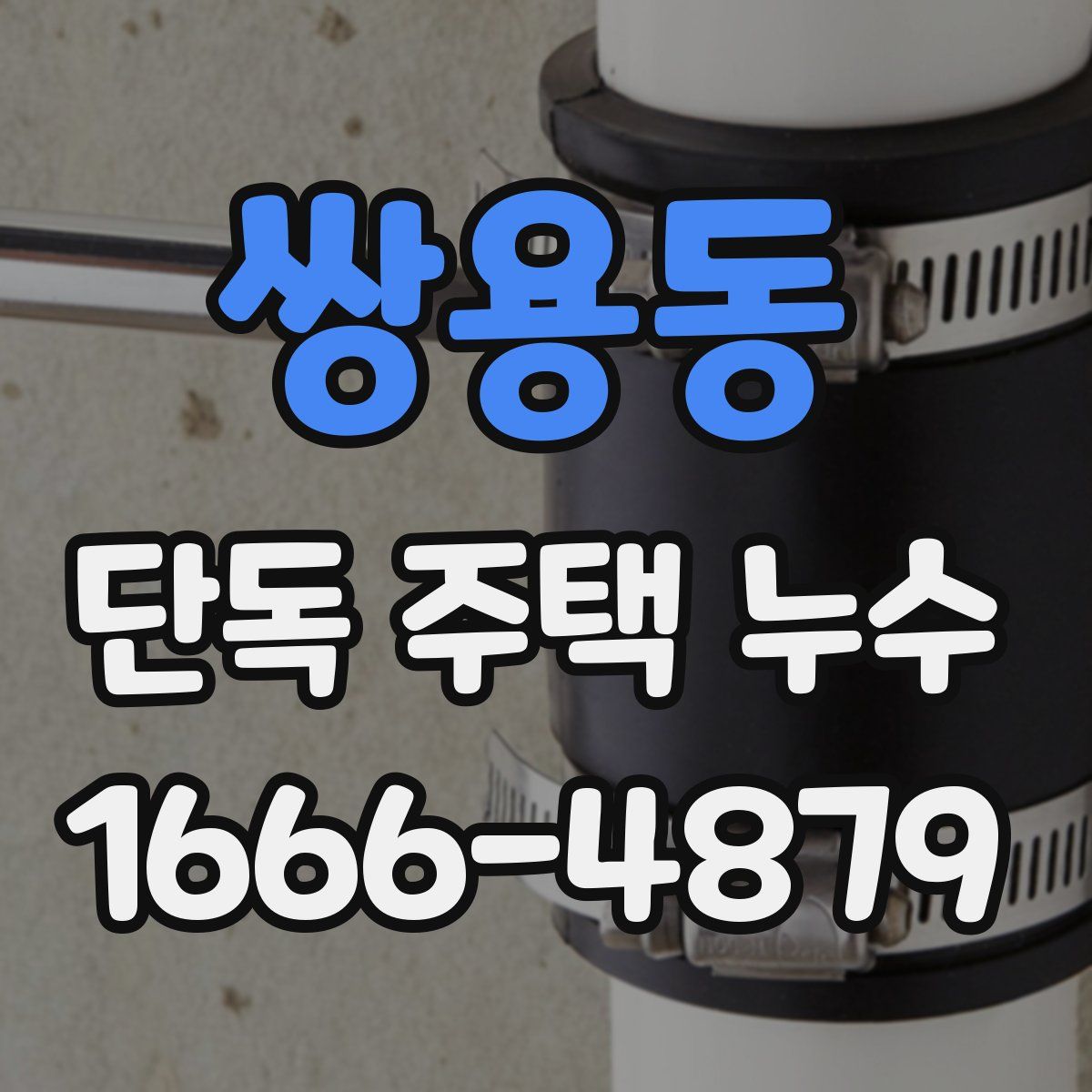 쌍용동 단독 주택 누수