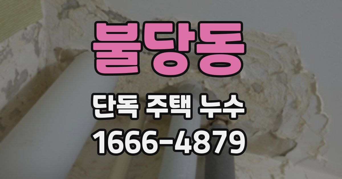 불당동 단독 주택 누수