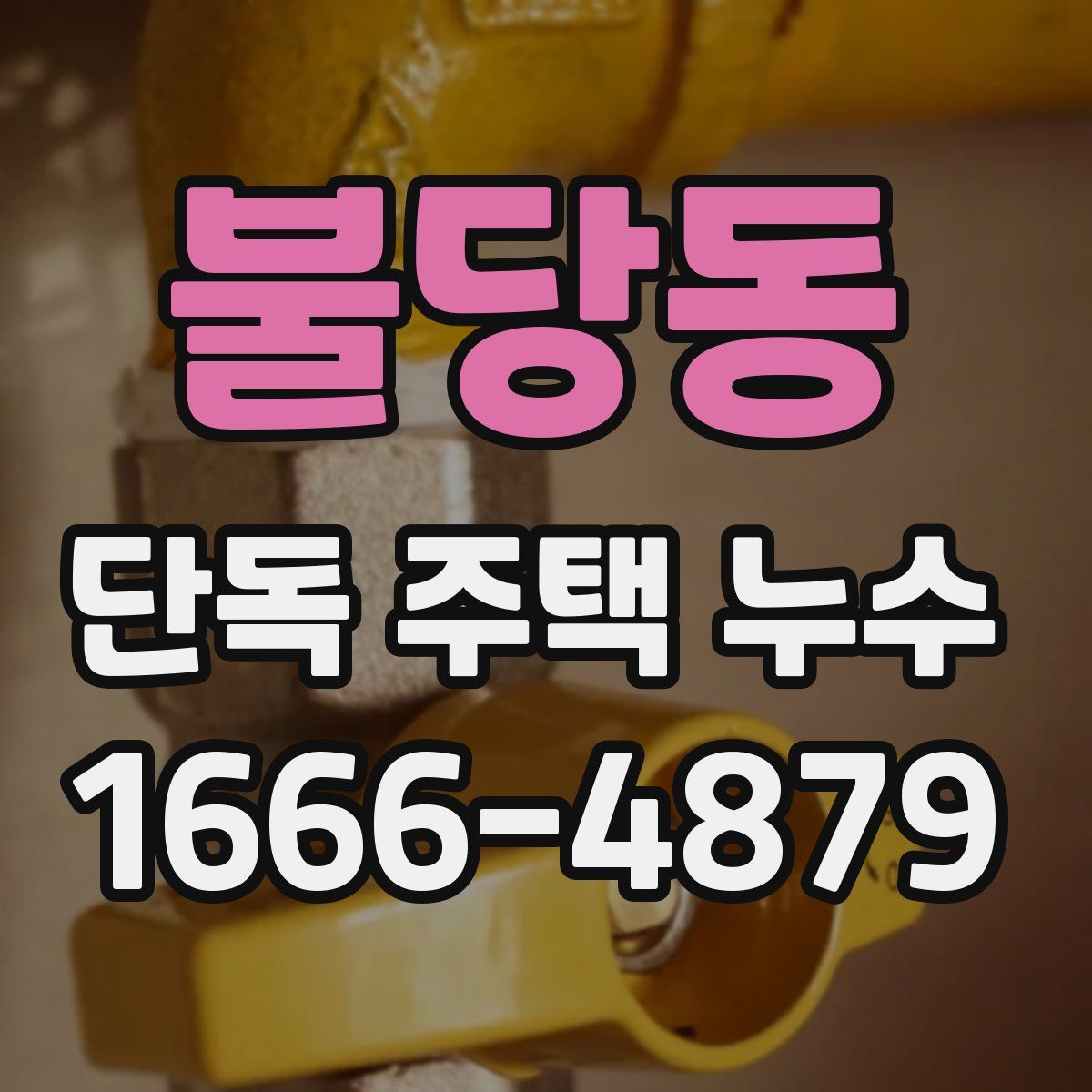 불당동 단독 주택 누수