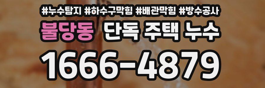 불당동 단독 주택 누수