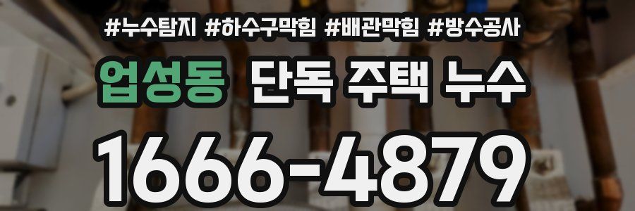업성동 단독 주택 누수