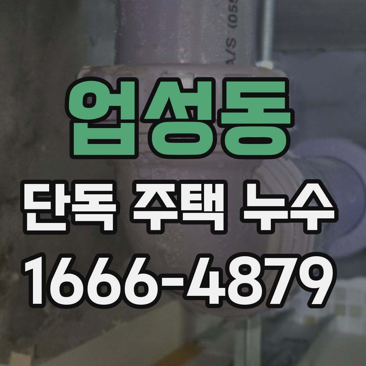 업성동 단독 주택 누수