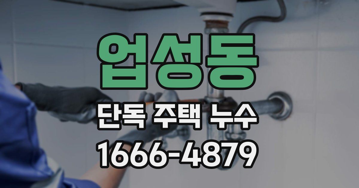 업성동 단독 주택 누수