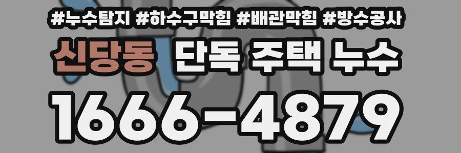 신당동 단독 주택 누수