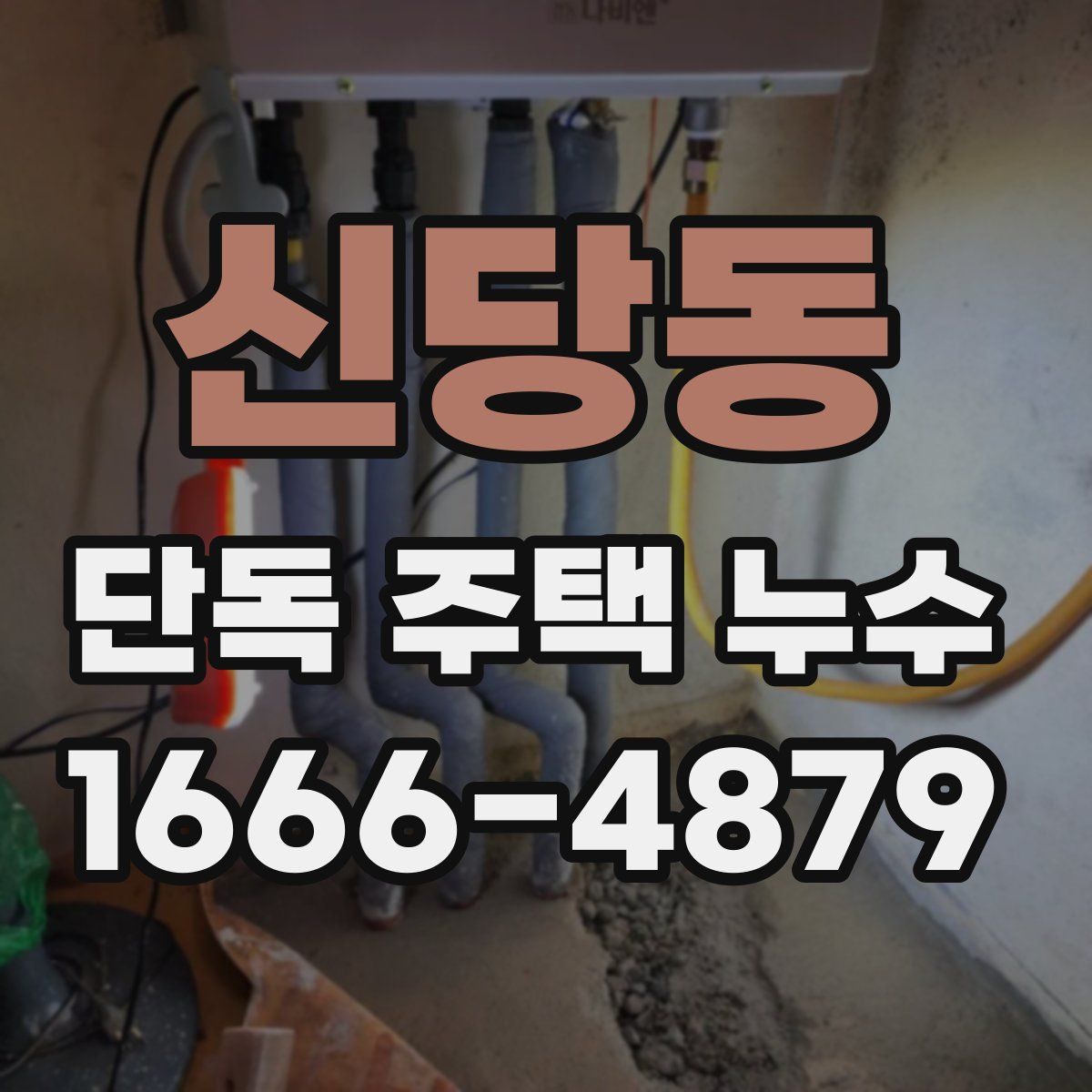 신당동 단독 주택 누수